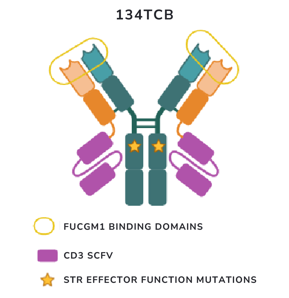 Glymabs-diagram-3-v2